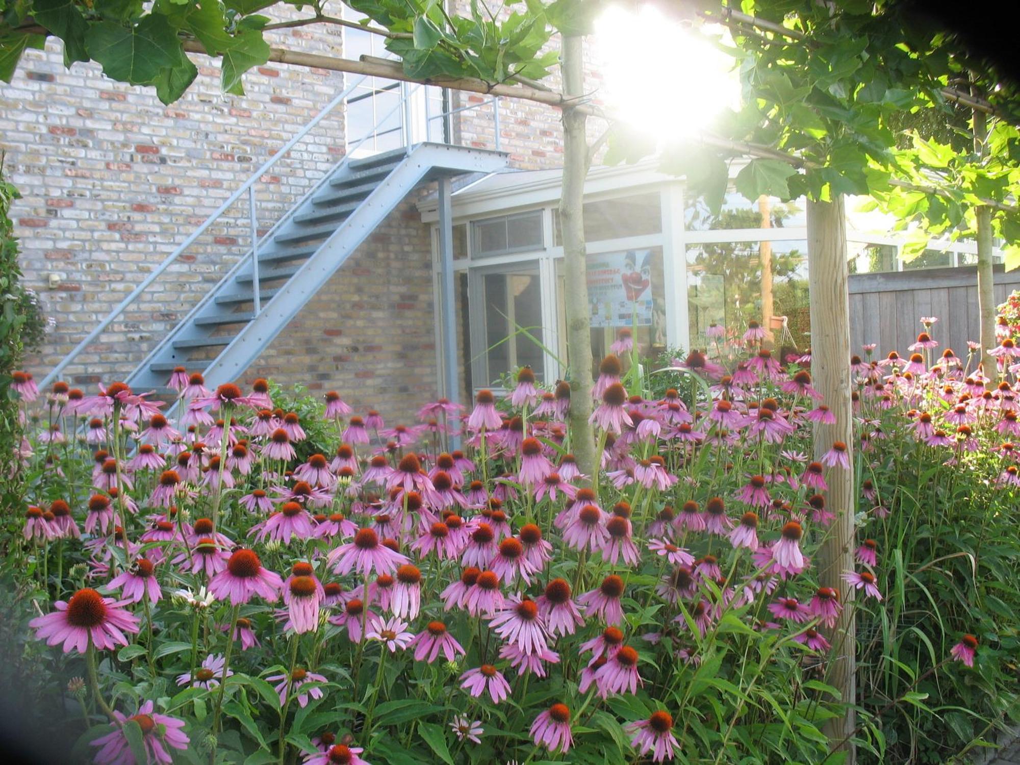B&B Greenhouse 37 Langemark Esterno foto