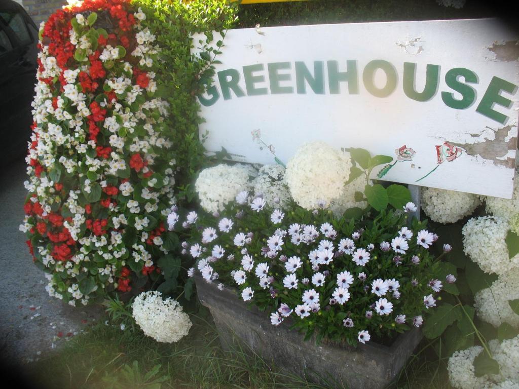 B&B Greenhouse 37 Langemark Esterno foto